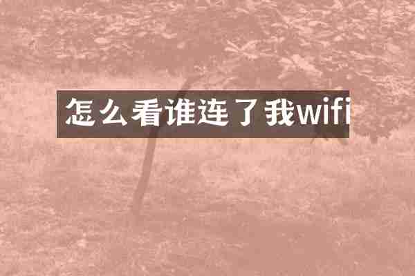 怎么看谁连了我wifi