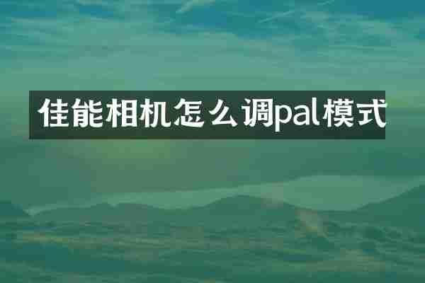 佳能相机怎么调pal模式