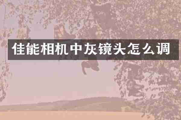 佳能相机中灰镜头怎么调