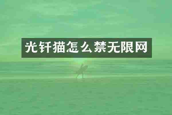 光钎猫怎么禁无限网