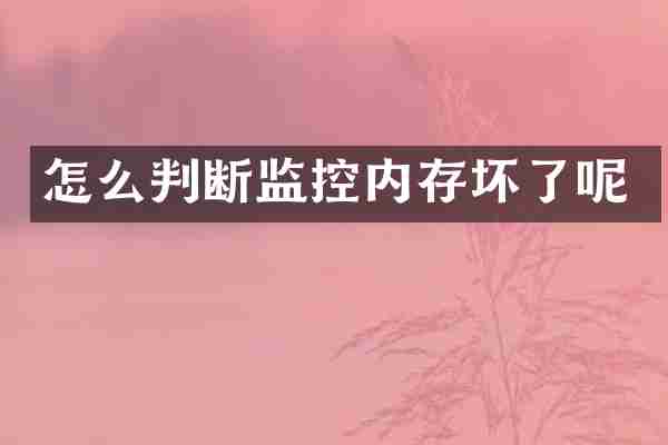 怎么判断监控内存坏了呢