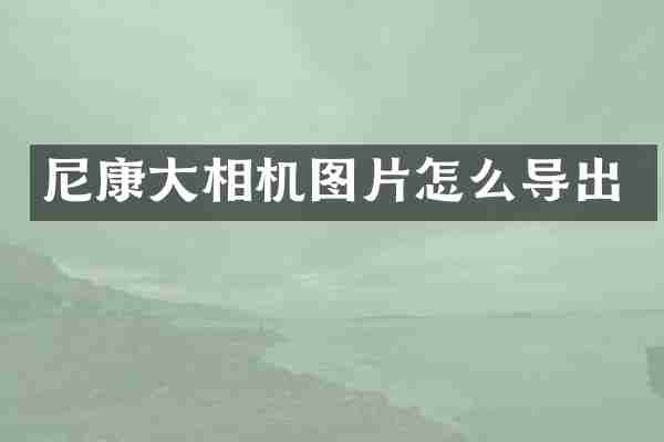 尼康大相机图片怎么导出
