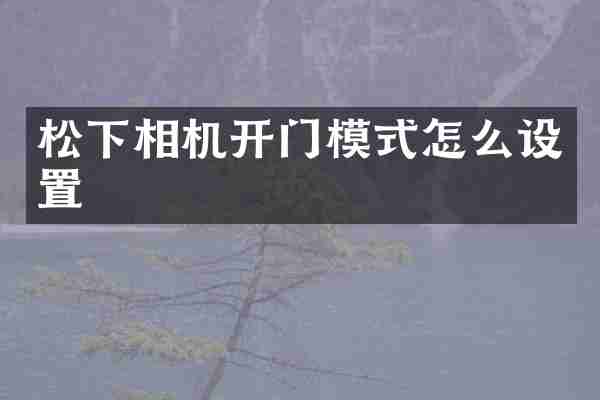 松下相机开门模式怎么设置