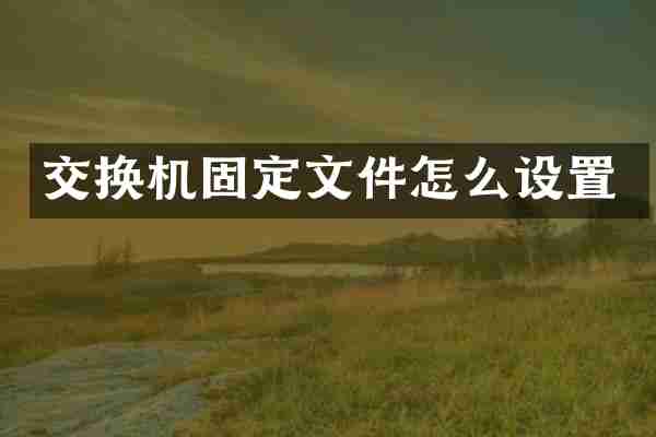 交换机固定文件怎么设置
