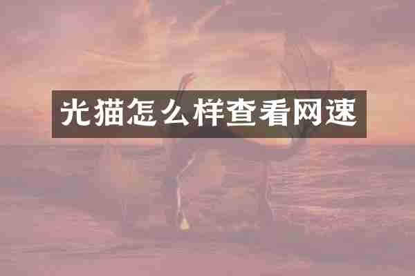 光猫怎么样查看网速