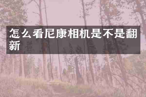 怎么看尼康相机是不是翻新