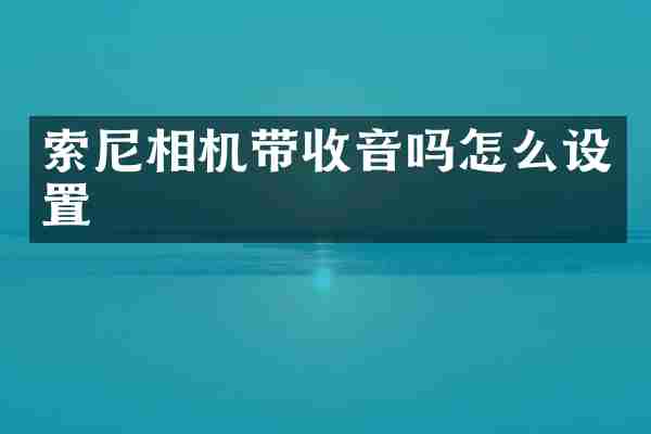 索尼相机带收音吗怎么设置