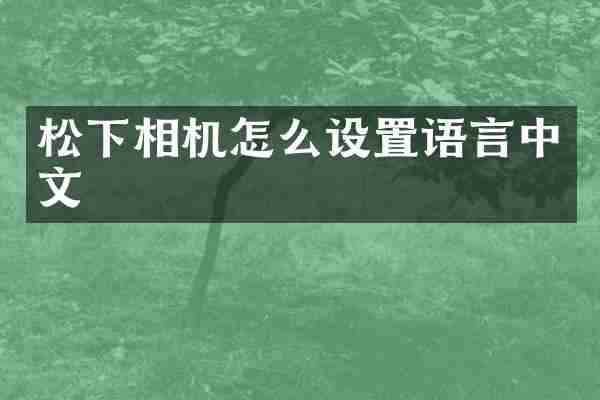 松下相机怎么设置语言中文