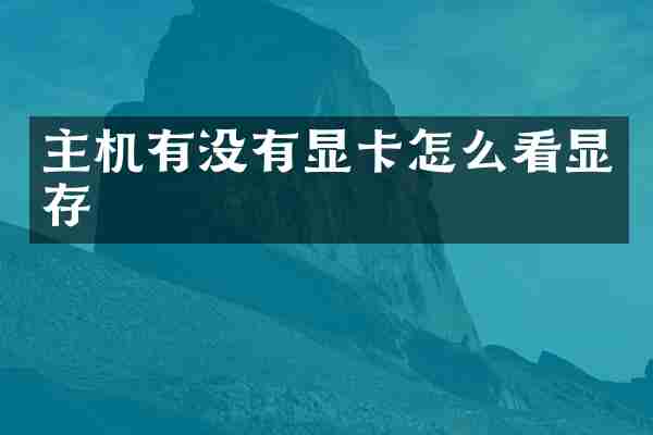 主机有没有显卡怎么看显存