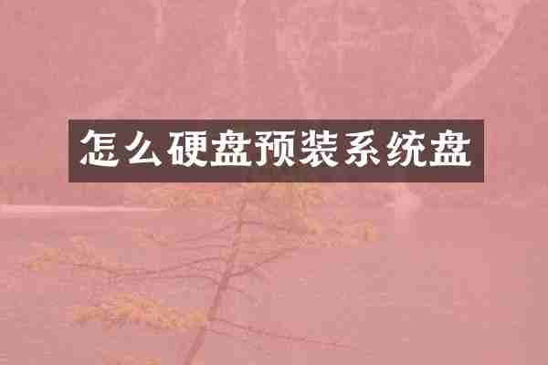 怎么硬盘预装系统盘