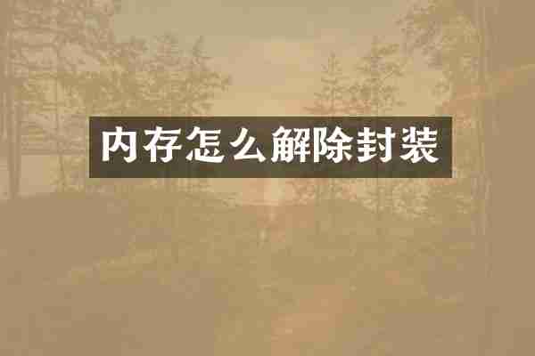 内存怎么解除封装
