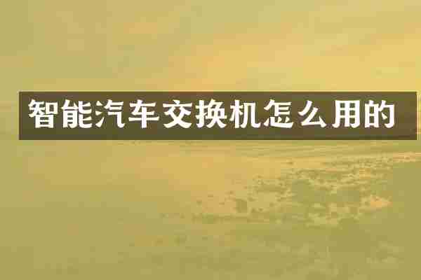 智能汽车交换机怎么用的
