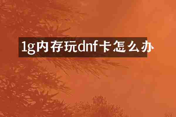 1g内存玩dnf卡怎么办