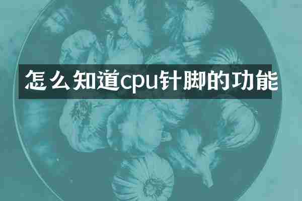 怎么知道cpu针脚的功能