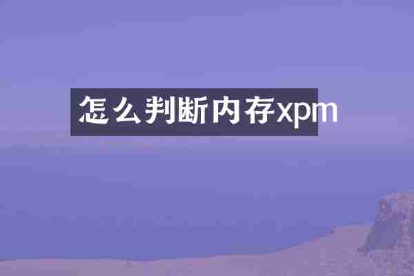 怎么判断内存xpm