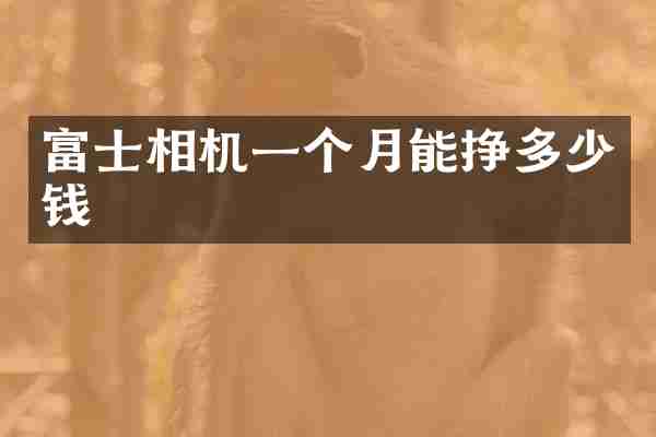 富士相机一个月能挣多少钱