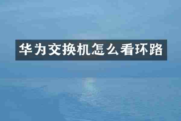 华为交换机怎么看环路