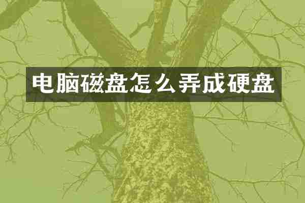电脑磁盘怎么弄成硬盘