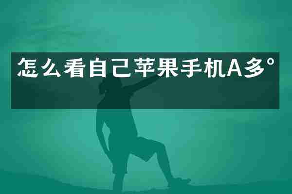 怎么看自己苹果手机A多少