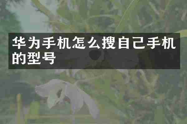 华为手机怎么搜自己手机的型号