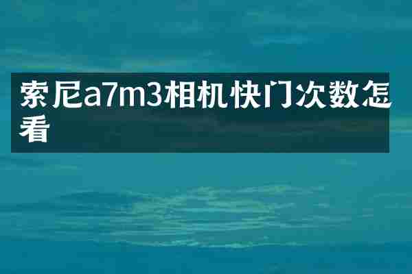 索尼a7m3相机快门次数怎么看