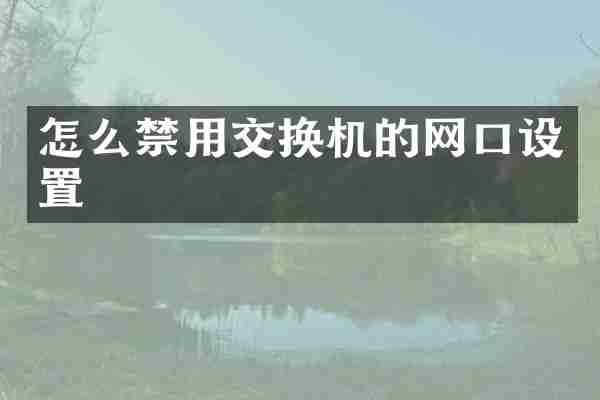 怎么禁用交换机的网口设置