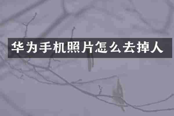 华为手机照片怎么去掉人