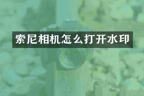 索尼相机怎么打开水印