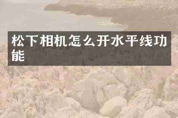 松下相机怎么开水平线功能
