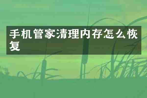 手机管家清理内存怎么恢复