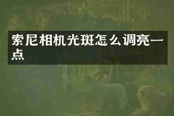 索尼相机光斑怎么调亮一点