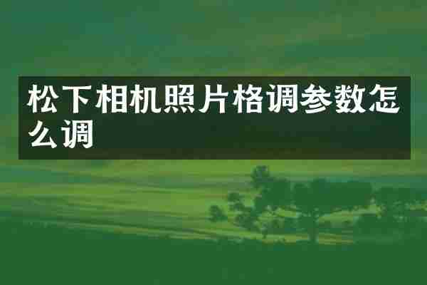 松下相机照片格调参数怎么调
