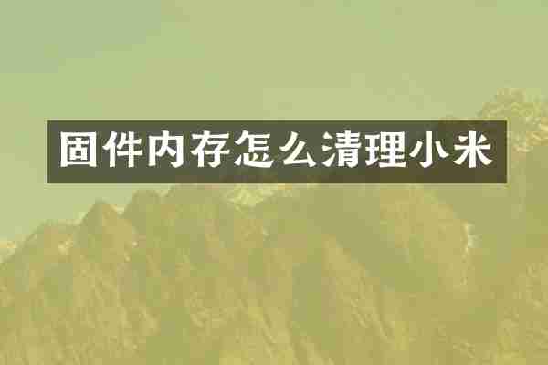 固件内存怎么清理小米