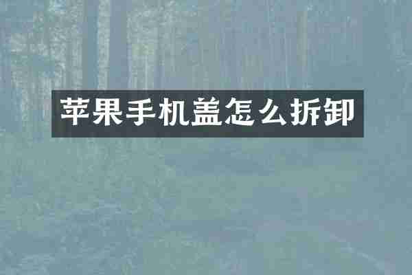 苹果手机盖怎么拆卸