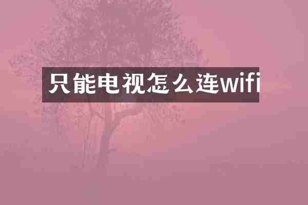 只能电视怎么连wifi