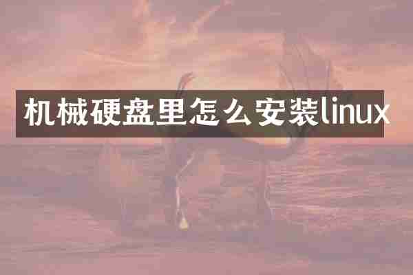 机械硬盘里怎么安装linux