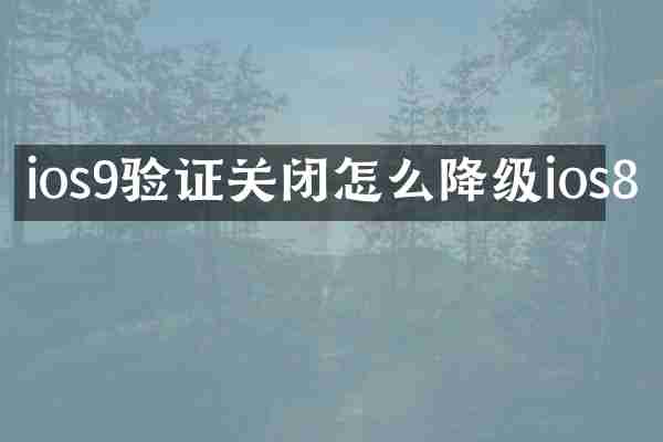 ios9验证关闭怎么降级ios8
