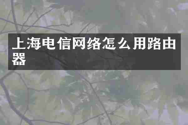 上海电信网络怎么用路由器