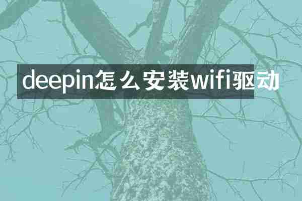 deepin怎么安装wifi驱动