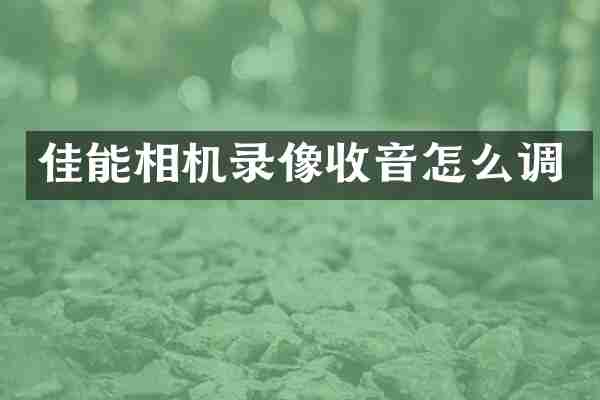 佳能相机录像收音怎么调