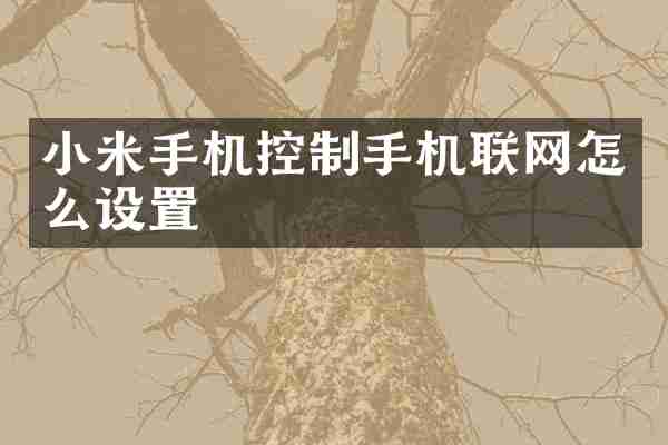 小米手机控制手机联网怎么设置