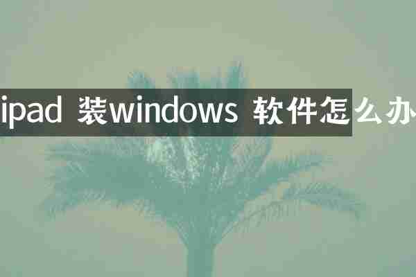 ipad 装windows 软件怎么办
