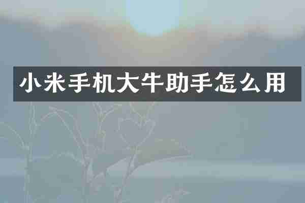 小米手机大牛助手怎么用