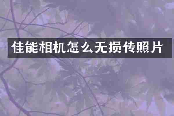 佳能相机怎么无损传照片