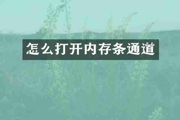 怎么打开内存条通道
