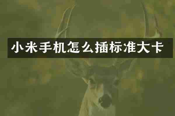 小米手机怎么插标准大卡