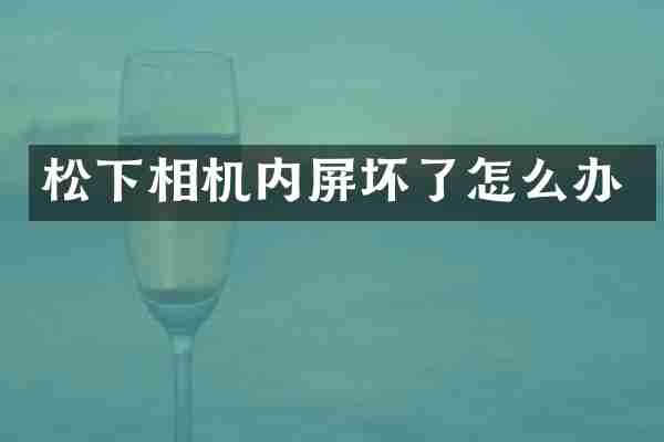 松下相机内屏坏了怎么办