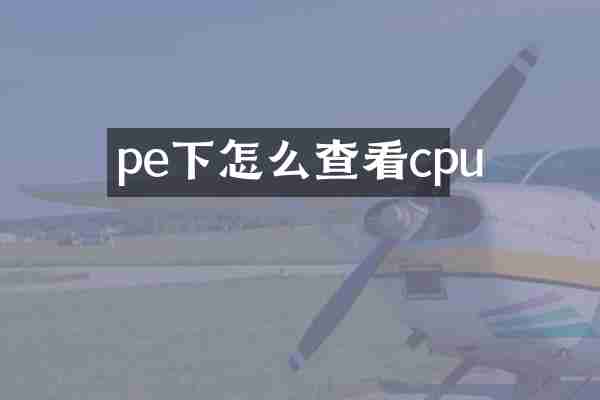 pe下怎么查看cpu