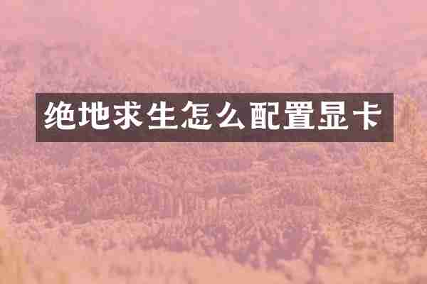 绝地求生怎么配置显卡