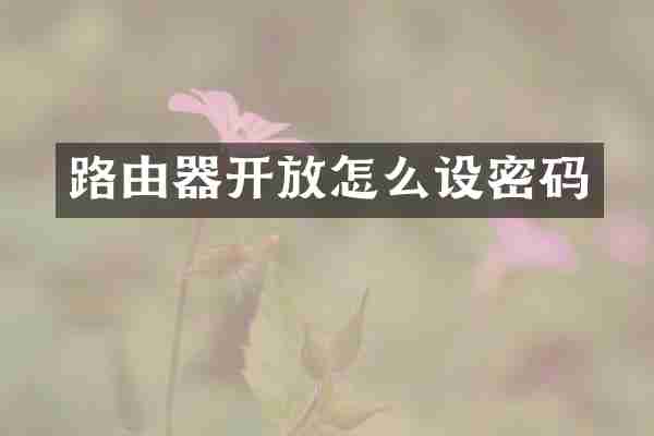 路由器开放怎么设密码